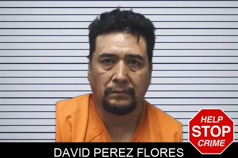 David Perez Flores