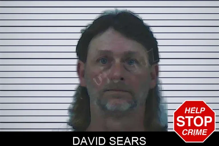 David Sears