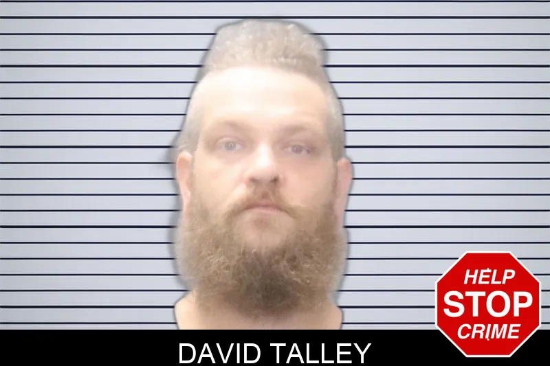 David Talley Mugshots