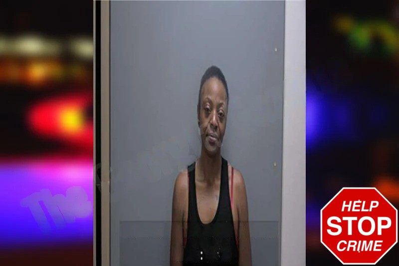 Dawn Johnson Mugshots