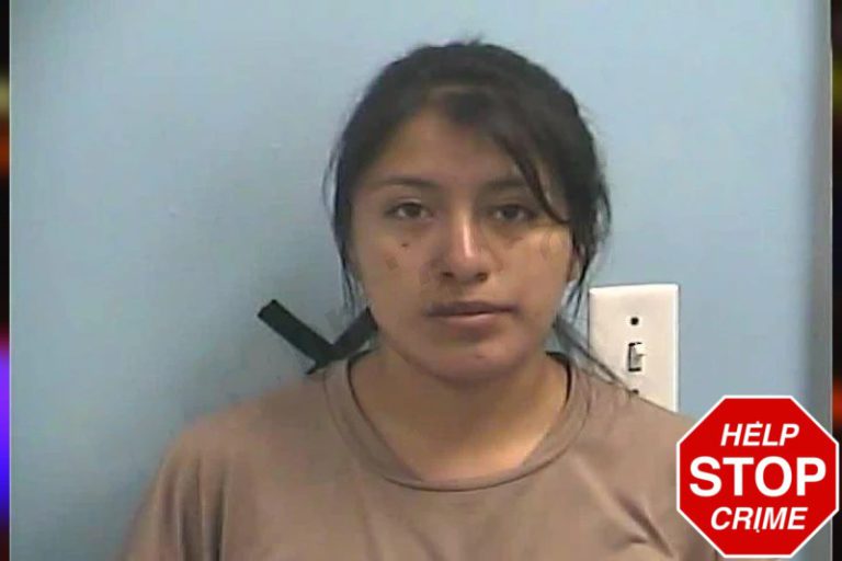 Daysi Gonzalez Gonzalez mugshot – Dawson County , Georgia Daysi Gonzalez Gonzalez