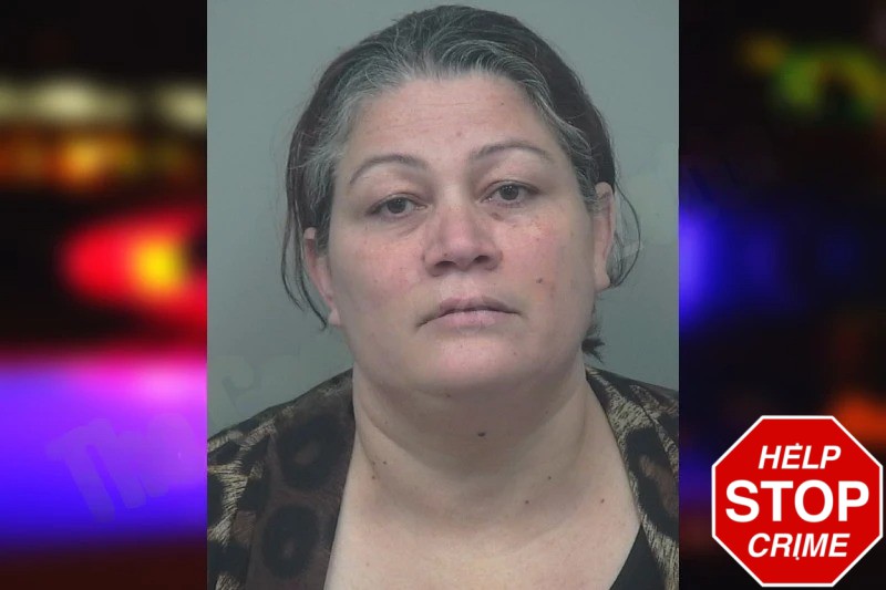 Daysi Mejia-Alarcon mugshot – Gwinnett County , Georgia Daysi Mejia-Alarcon mugshot