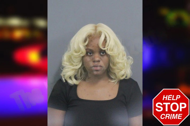 Daysia Bryant mugshot