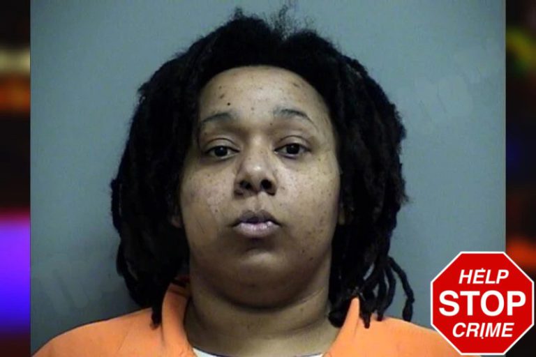 Deanna Cobb mugshot – Effingham County , Georgia Deanna Cobb