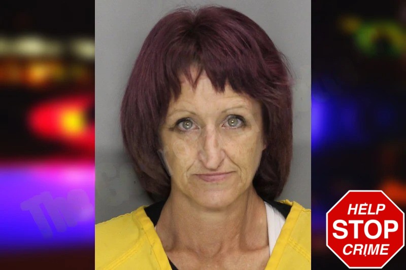 Deborah Leslie mugshot – Cobb County , Georgia Deborah Leslie mugshot