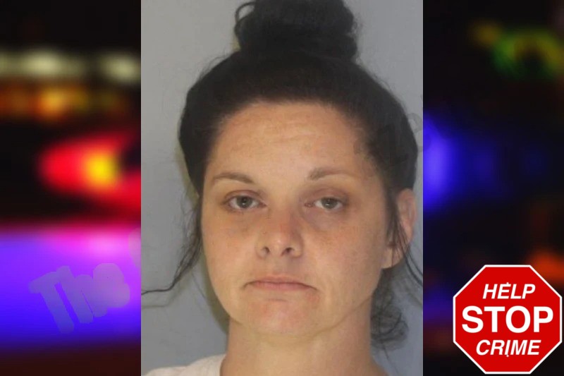 Deborah Martin Mugshots