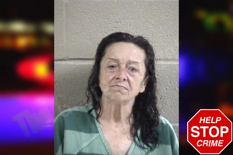 Deborah Sturgill Mugshots