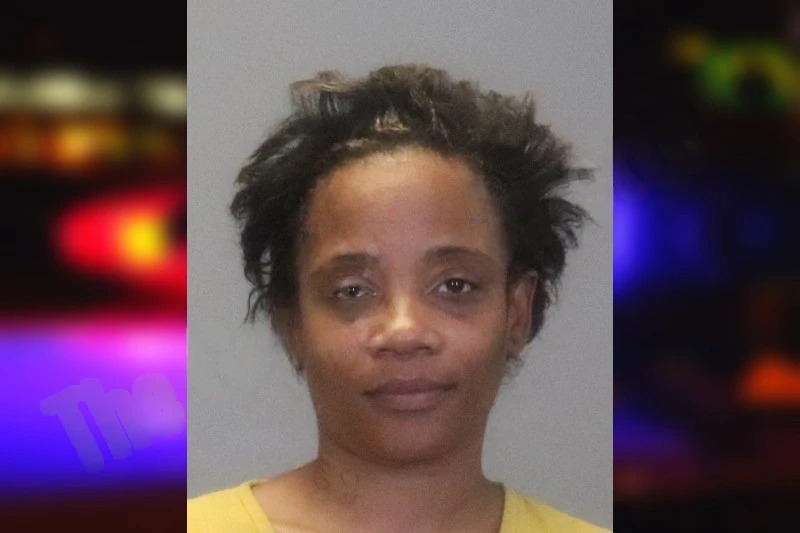 Debra Johnson Mugshots