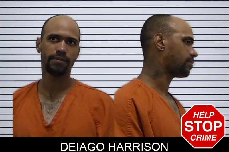 Deiago Harrison Mugshots