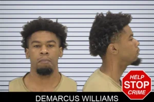 Demarcus Williams mugshot