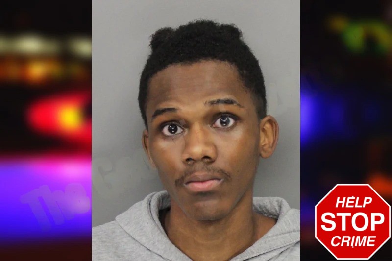 Demario Minor Mugshots