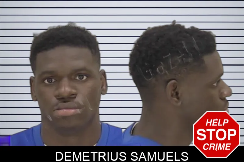 Demetrius Samuels Mugshots