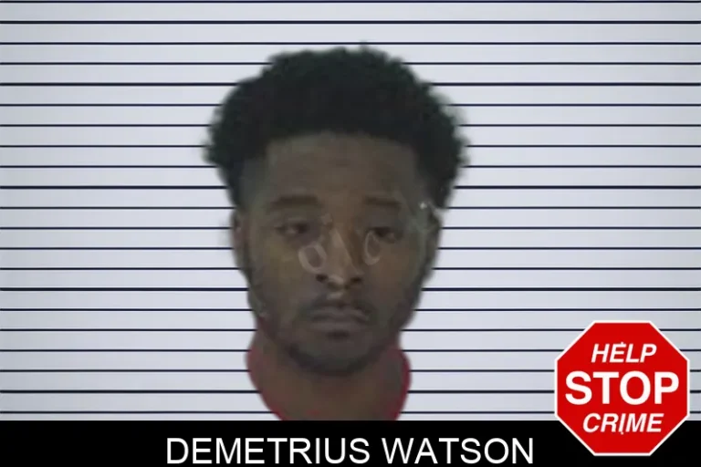 Demetrius Watson mugshot – Fayette County , Georgia Demetrius Watson
