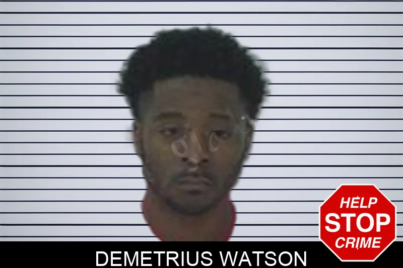 Demetrius Watson Mugshots