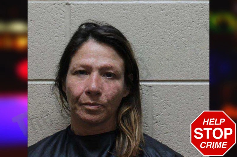 Denina Haggermaker Mugshots