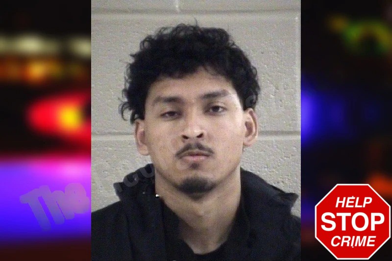 Denis Estrada Mugshots