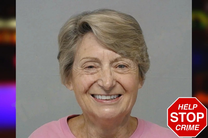 Denise Schwab Mugshots