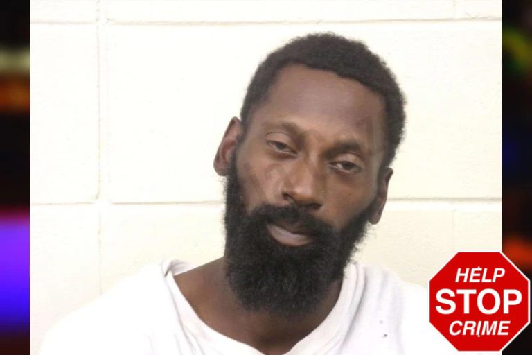 Denzail McBride mugshot – Bulloch County , Georgia Denzail McBride