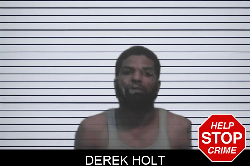 Derek Holt mugshot