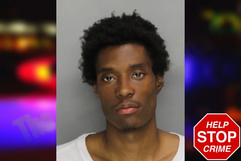 Derenski McGrady Mugshots