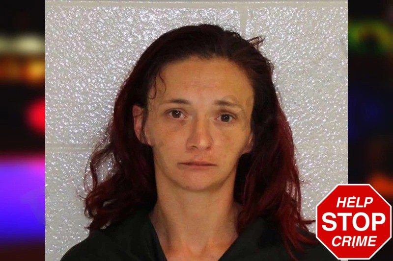 Desirae Fordham mugshot – Carroll County , Georgia Desirae Fordham mugshot