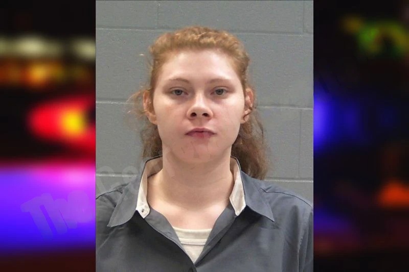 Desiree Shuemake Mugshots