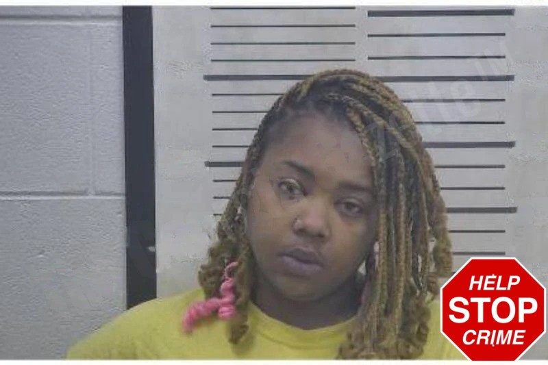 Desiree Wilson Mugshots