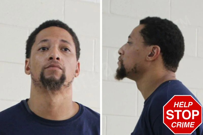 Desmond Taylor Mugshots