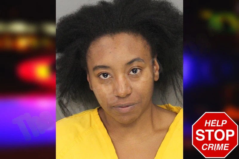 Destinie Jones Mugshots