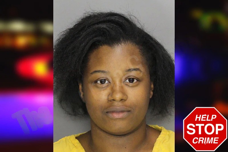 Destiny Bridges Mugshots