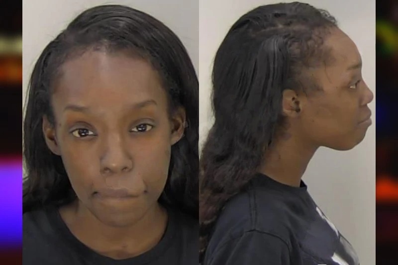 Destiny Fanning Mugshots