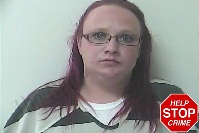 Destiny Malinasky Mugshots