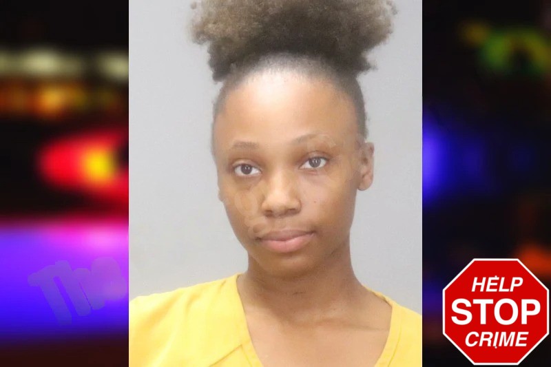 Destynee Brown Mugshots