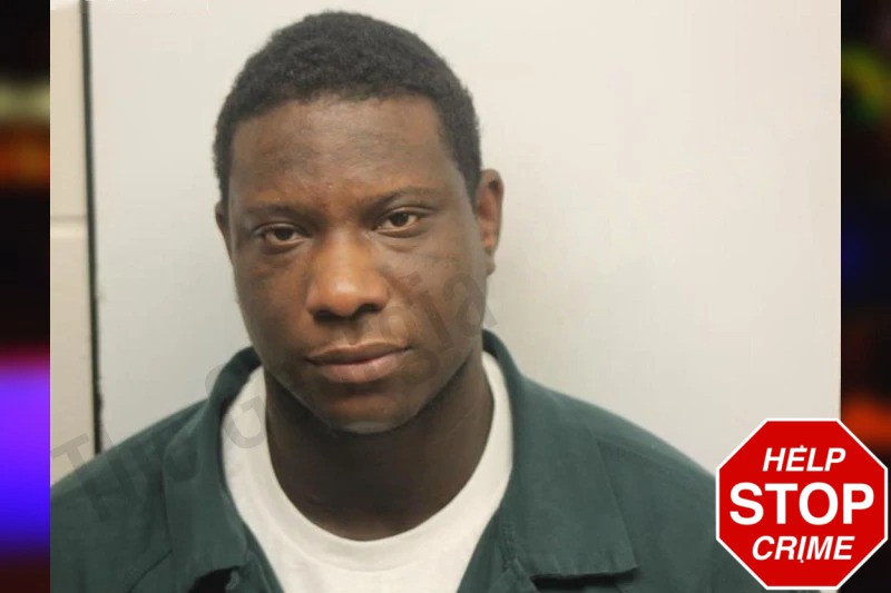 Diamond Hamilton Mugshots