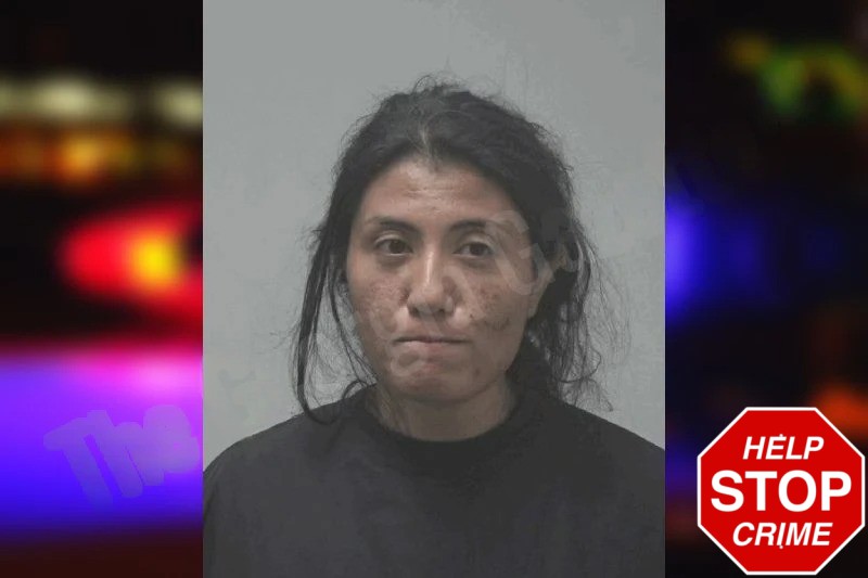 Diana Alquid mugshot