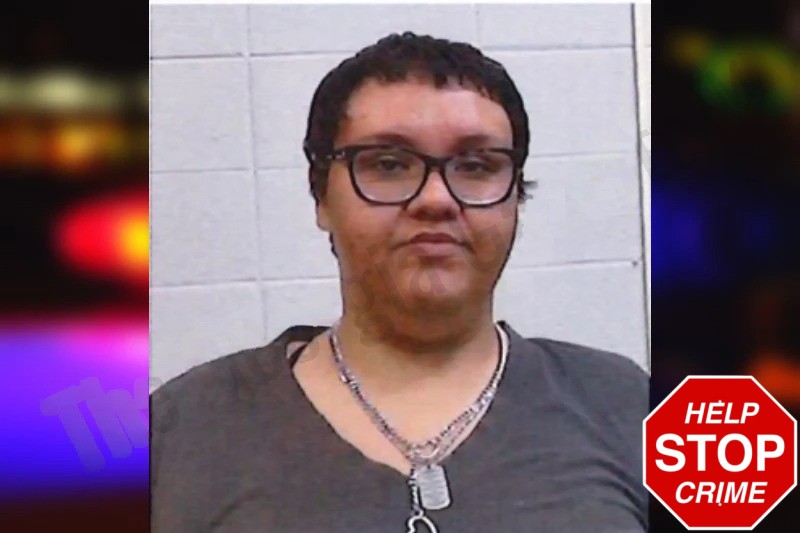 Diana Sanchez Mugshots