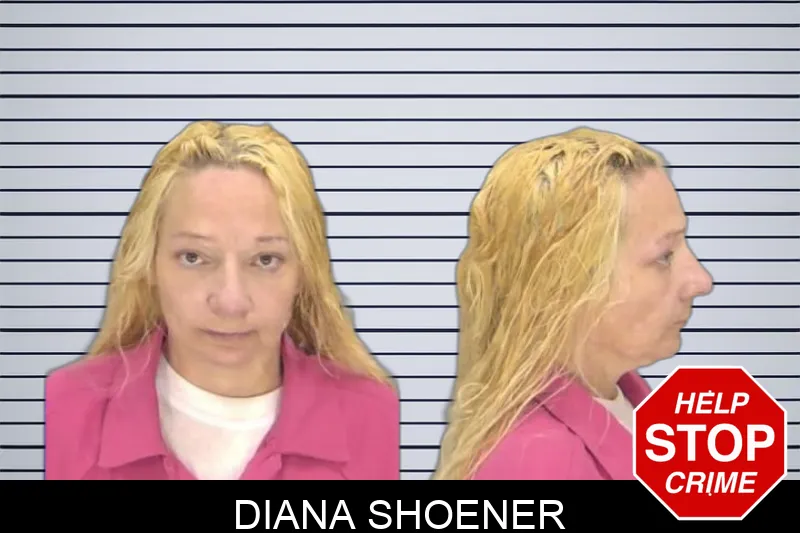 Diana Shoener Mugshots