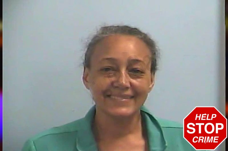 Diane Saintkitts Mugshots