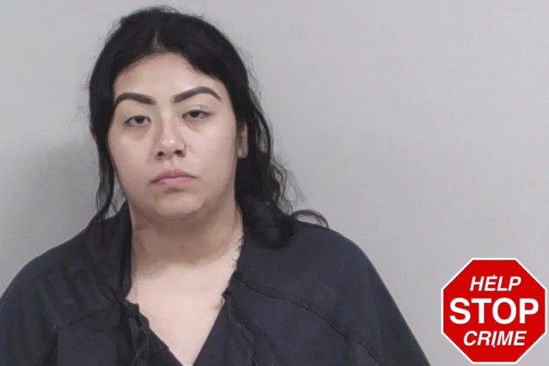Diane Saldana Mugshots