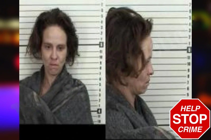 Dianna Burkhart Mugshots