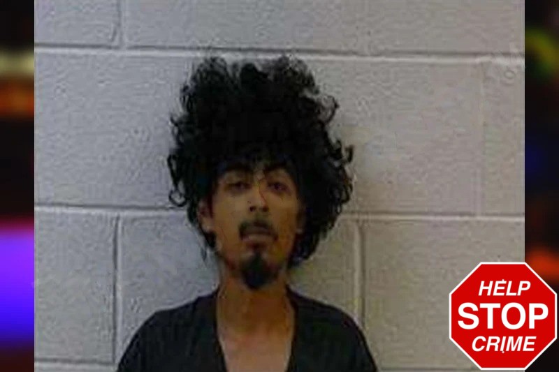 Diego Gomez Mugshots