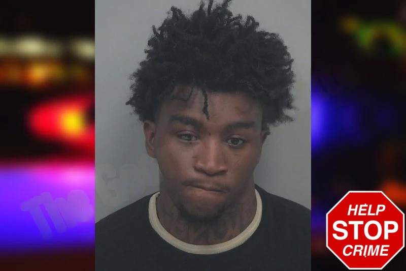 Diendy Hall Mugshots