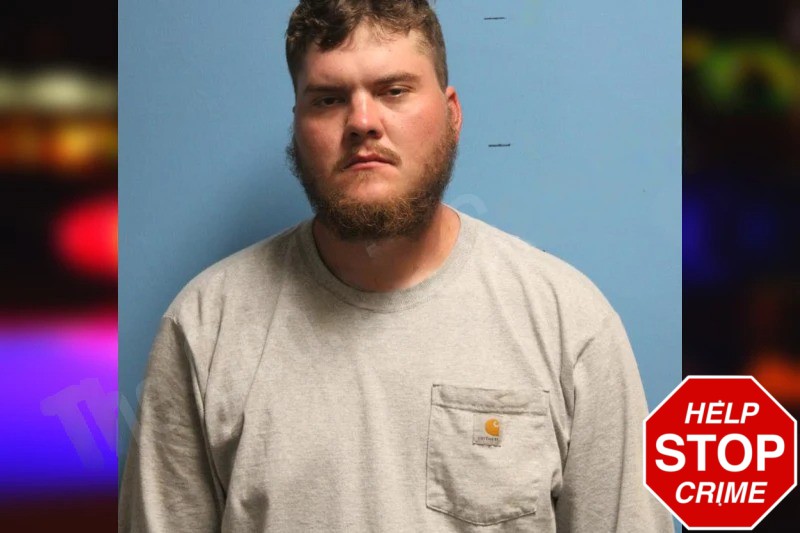 Dillan Gilbert Mugshots