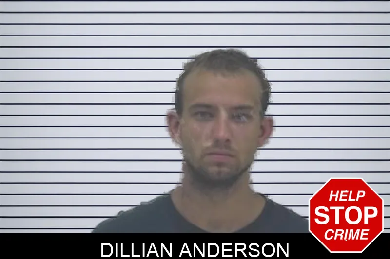 Dillian Anderson Mugshots