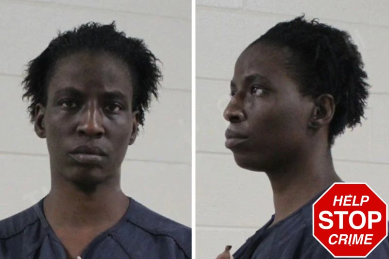 Dionna Harris mugshot