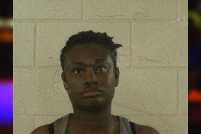 Dionne Dickson Mugshots