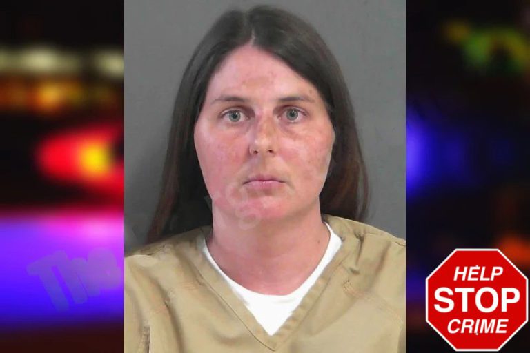 Dixie Sanford mugshot – Oconee County , Georgia Dixie Sanford