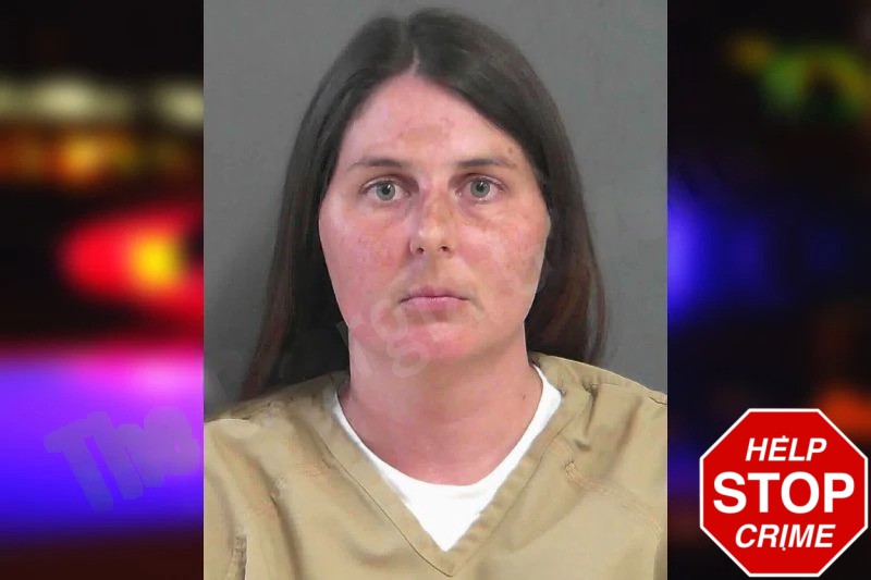 Dixie Sanford mugshot