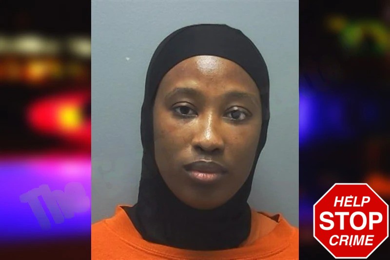 Djamila Diallo Mugshots
