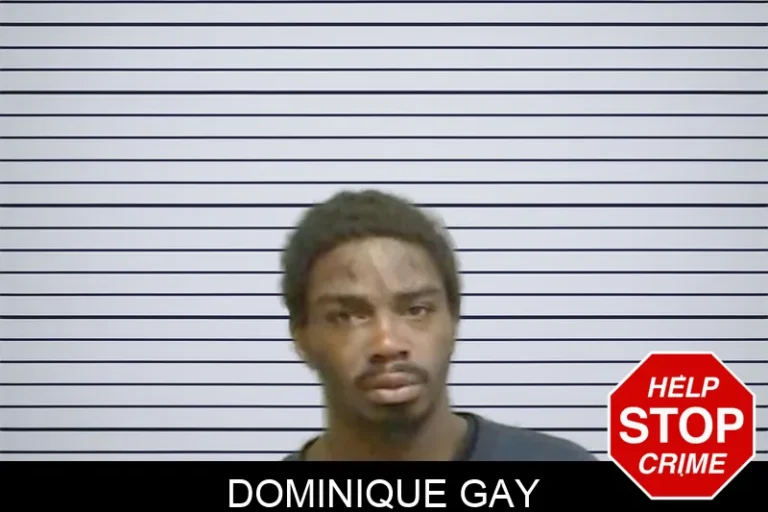 Dominique Gay